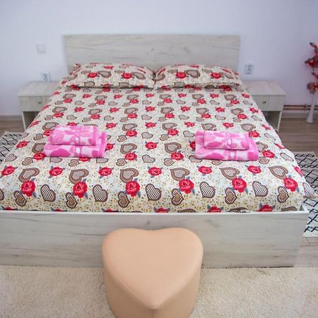 Appartamento Casa Stefania 1 Călimăneşti Esterno foto