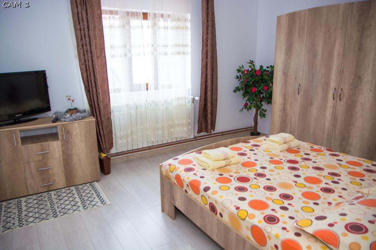Appartamento Casa Stefania 1 Călimăneşti Esterno foto