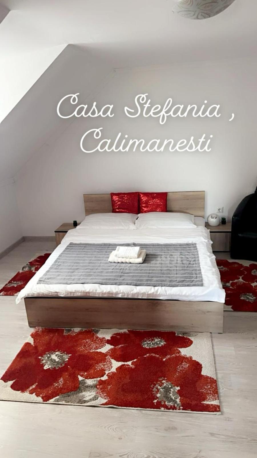 Appartamento Casa Stefania 1 Călimăneşti Esterno foto